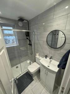 伦敦Modern 5 Bed near ExCel -Big Ben的一间带水槽、卫生间和镜子的浴室