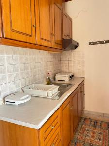 埃拉蒂特里卡隆ΑΓΝΑΝΤΕΜΑ的厨房配有带水槽和微波炉的台面