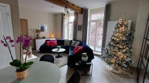 兹瓦尔姆Hermelgemhoeve - Zonnebloem的客厅配有圣诞树和沙发