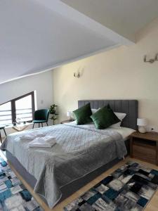 潘波洛沃Pamporovo Rhodopi Pearl Apartments - Private Apartments的一间卧室配有一张带绿色枕头的大床