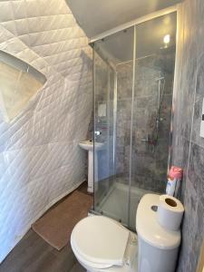 潘吉普伊Milenaria Glamping的一间带卫生间和淋浴的浴室