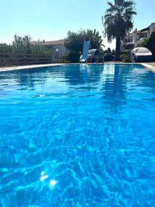 PlatanidiaPlatanidia Guesthouse的一个大型蓝色游泳池,后面有棕榈树