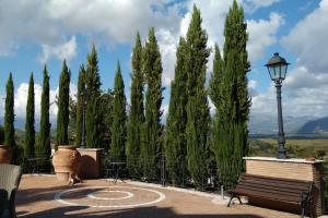 SantʼAndrea del GariglianoBosco D'Olmi Country House的公园里设有长凳、街灯和树木