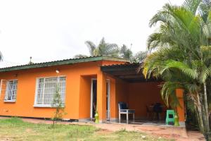 利隆圭House of Joy的一座种植了棕榈树的橙色小房子