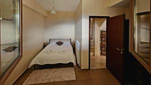 卡拉维塔Τα πέτρινα στο Σκεπαστό的一间小卧室,配有一张床和一个步入式衣柜