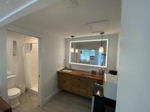 基韦斯特Alexander Palms Court - No Hidden Resort Fees!的一间带水槽、卫生间和镜子的浴室