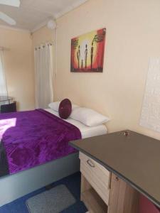 波罗瓜尼Plk Noord Guesthouse的一间卧室配有一张紫色的床和一张书桌