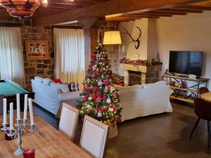 OrzalesFORJAS DE ORZALES的客厅中间的圣诞树