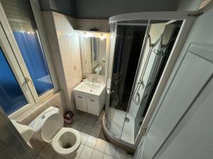 阿尔比Le Terminus d'Albi的带淋浴、卫生间和盥洗盆的浴室