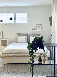 ErmatingenStudio Apartment am Bodensee - modern und stilvoll的一间卧室配有一张床和一张植物桌子