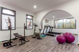 马拉喀什leila farmhouse的健身房,配有跑步机和健身器材