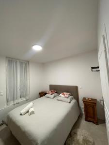 勒芒Au logis du circuit des 24h00的卧室配有一张带两个枕头的大白色床