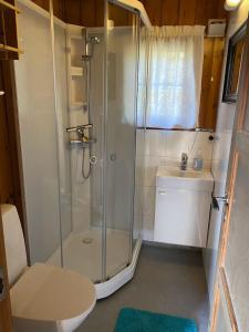 RaulandRauland Hytteutleige的带淋浴、卫生间和盥洗盆的浴室