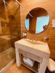 蒂格雷Tigre Urban Suites的一间带水槽、淋浴和镜子的浴室