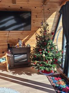 StulpicaniCasuta mea的一间带电视的客房内的圣诞树