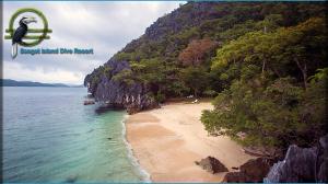 科隆Sangat Island Dive Resort的鸟飞过海边的海滩
