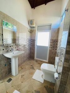 康提Kandyan View Homestay -For Foreign的一间带水槽、卫生间和淋浴的浴室