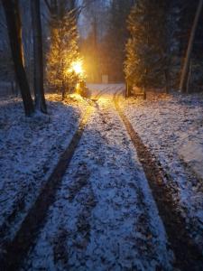 鲁汶Kokoon in 't groen的一条有雪覆盖的道路,在背后有太阳