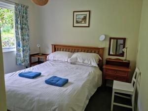 DaleColdstream Cottage的一间卧室配有一张带两个蓝色枕头的床