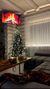 艾兹基Чотири сезони的客厅配有圣诞树和电视