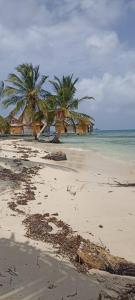 AchoertupoCabaña frente al mar islas de San Blas icodub的两棵棕榈树和大海的海滩