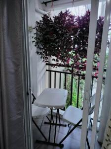 碧瑶Baguio Bliss by Burnham Hill Condominium的阳台上配有一张白色的桌子和两把椅子