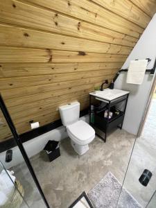 MunhozChalé Panorama的一间带卫生间和木墙的浴室