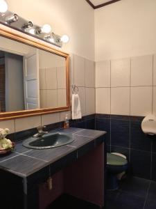 San JuanChavenogue Hotel的一间带水槽、镜子和卫生间的浴室