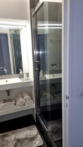 巴黎Appart'Chic的带淋浴、盥洗盆和镜子的浴室
