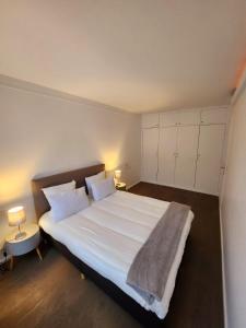 巴黎Appart'Chic的卧室配有一张带两个枕头的大白色床