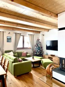 斯塔拉·里斯拉Chata pod horou的客厅配有绿色沙发和圣诞树