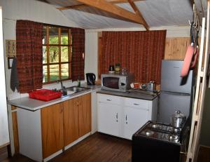 布隆方丹Thorn Tree Bloemfontein的小厨房配有冰箱和微波炉。