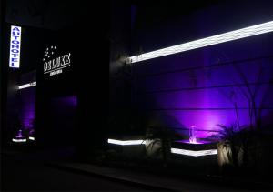 El AlcanforAuto Hotel Deluxe的一座紫色的建筑,在晚上前方有一个喷泉