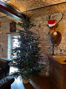 博兰Les Confidences de Messire Sanglier, stylished guest houses的墙上挂着桑塔帽子的圣诞树