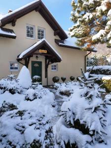 什切尔克Molonówka Guest House的前面的雪覆盖的房子