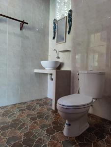 TirtaganggaAlamku Bungalow的一间带卫生间和水槽的浴室