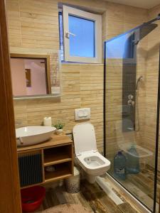 普里兹伦Villa Gjelbër 1的浴室配有卫生间、盥洗盆和淋浴。