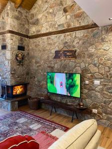 普里兹伦Villa Gjelbër 1的客厅设有石墙和平面电视