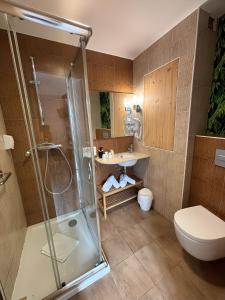 圣让-德吕兹Mosaikhotel的带淋浴、卫生间和盥洗盆的浴室