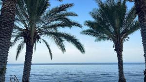KivisilMERSINERA Paradise Garden NOAH HOUSE的两棵棕榈树在海滩上靠近水面