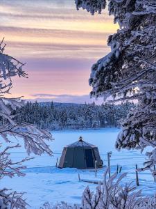 Kurravaara极光库拉瓦营地旅馆的雪地里的帐篷,有雪覆盖的树木