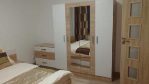 德辛Apartmán Tereza Děčín的一间卧室配有两张床、一个梳妆台和镜子