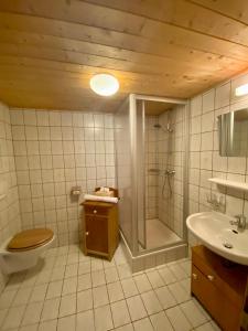 沃瑟姆阿尔伯格Älpler Stuba Appartements am Lärchenhof的带淋浴、卫生间和盥洗盆的浴室