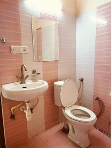 斋浦尔Hotel Braj Haveli的一间带卫生间和水槽的浴室