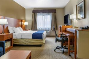 奥本希尔斯Comfort Suites Auburn Hills-Detroit的配有一张床和一张书桌的酒店客房