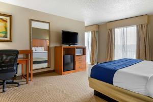 奥本希尔斯Comfort Suites Auburn Hills-Detroit的酒店客房配有一张床、一张书桌和一台电视。