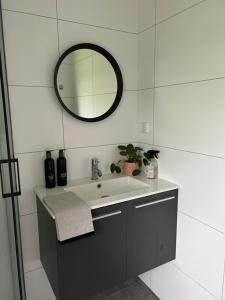 TerschuurDe Appelhoeve的一间带水槽和镜子的浴室