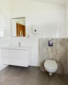 塞尔福斯南中央旅馆 的白色的浴室设有水槽和卫生间。