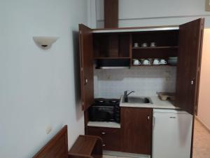 欧拉努波利斯Ξενώνας Φωτεινη的一间带水槽和微波炉的小厨房