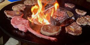 RoselloCasa del Pastore Rosello的烤架上的一束肉,火